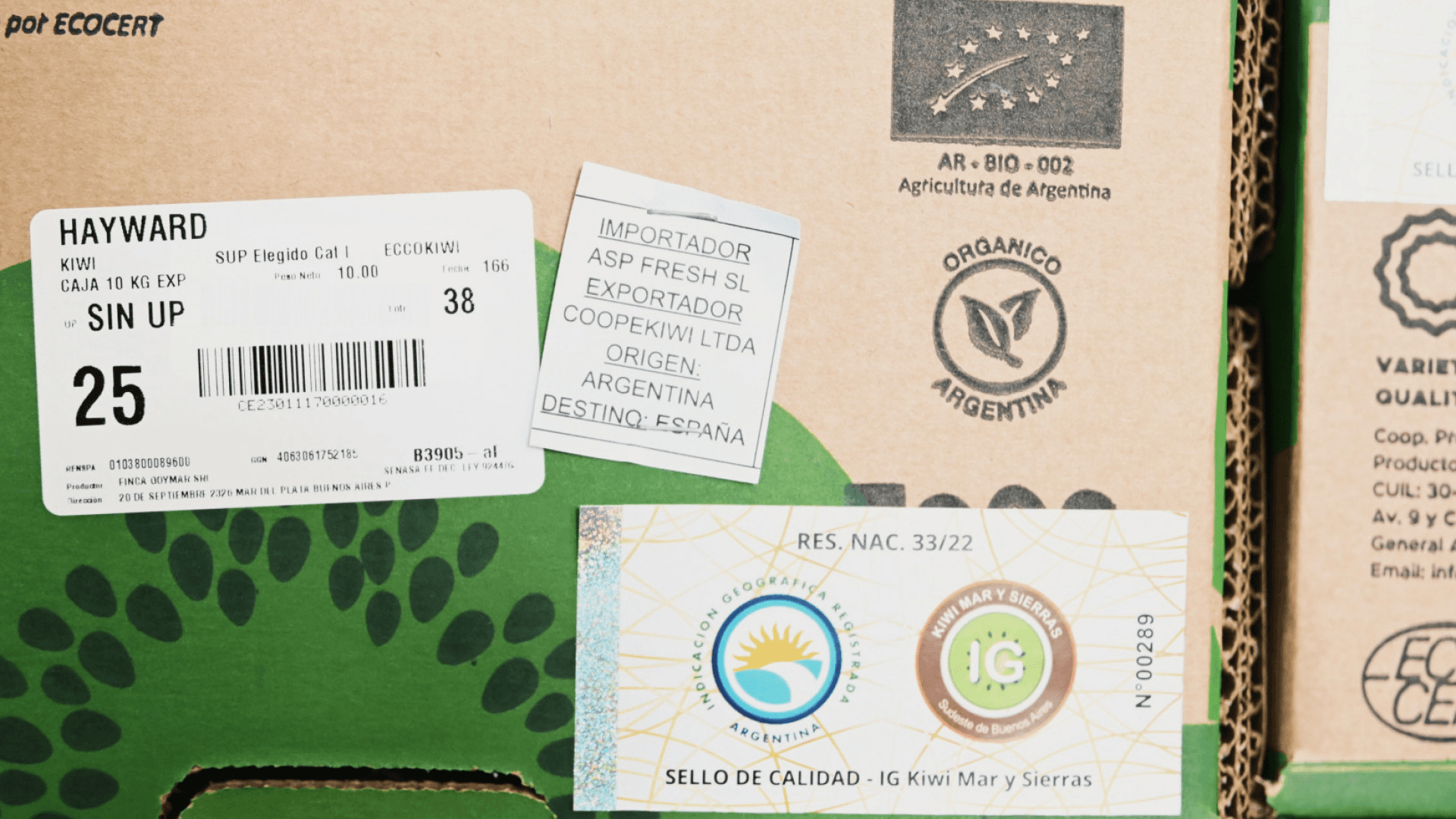 Primera Exportación de Kiwi con IG a España