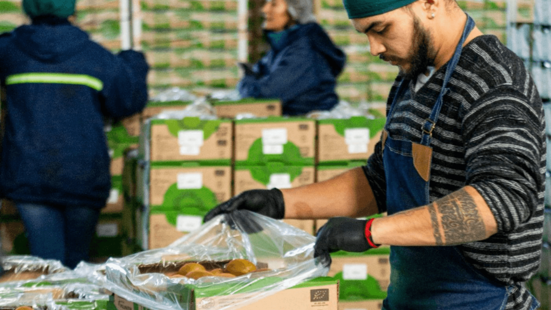 Argentina Exporta Kiwi de Mar y Sierras a España