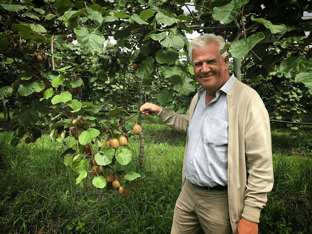 Luis Franch, Fundador de iKiwi